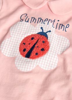 Completo coccinella