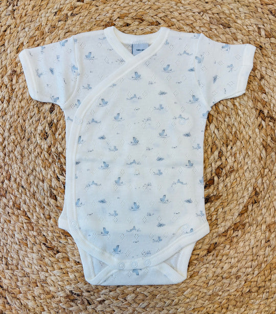 Body in cotone pointille polvere